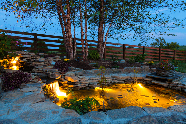 Pond Safety: Making Your Backyard Pond Safe for Kids and Pets