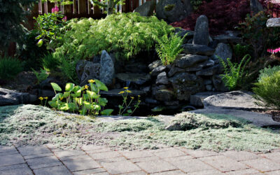 Finding the Perfect Pond Placement in Your Yard
